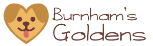 Burnham's Golden's